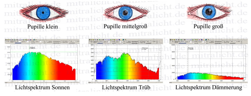 LED Monitor pupil reaction light spectrum